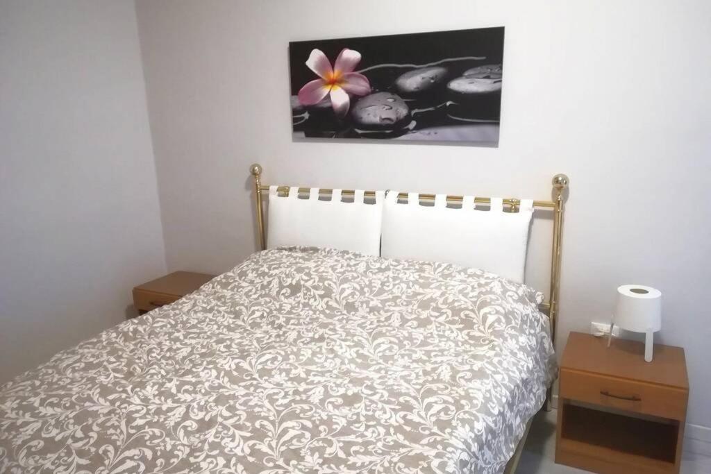 Casa Vacanze La Cartolina トリエステ エクステリア 写真